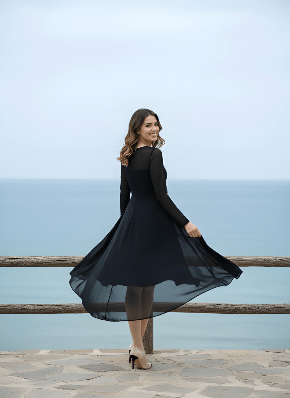 Woman Black georgette Fancy dress